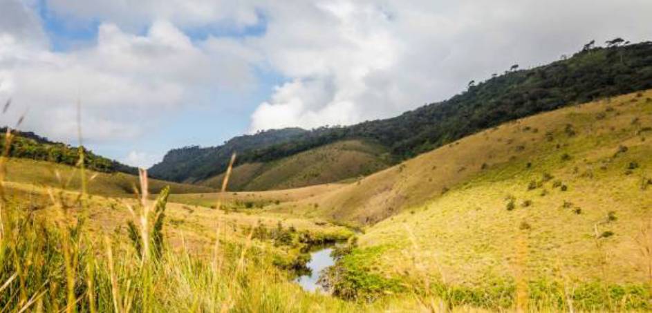 Horton Plains National Park