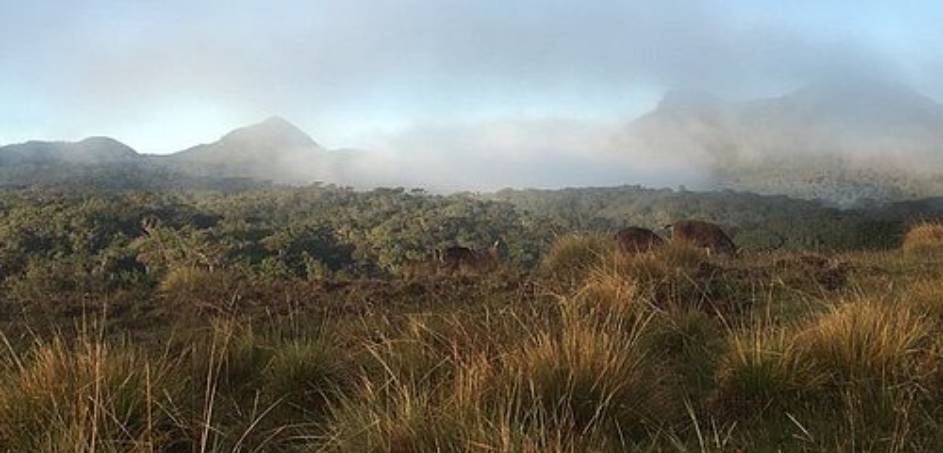 Horton Plains National Park